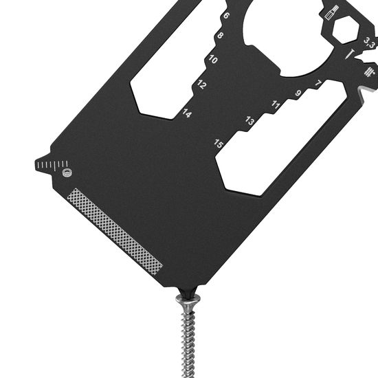 RICHARTZ® POCKET CARD black 28+