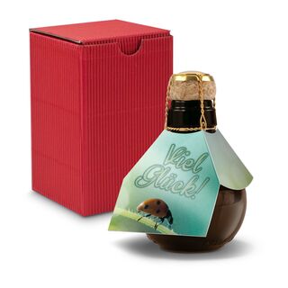 Origineller Sekt Viel Glück - Karton Rot, 125 ml 2K1358n4