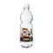 500 ml PromoWater - Mineralwasser - Eco Papier-Etikett 2P004P