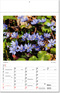 Kalender "Botanica" im Format 24 x 37,5 cm, mit Fälzel
