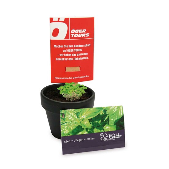 Pflanz-Stick mit Samen - Sommerblumenmischung, 1 Seite gelasert