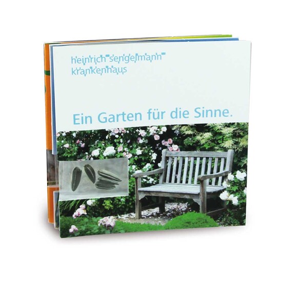 Samen-Karte - Fichte