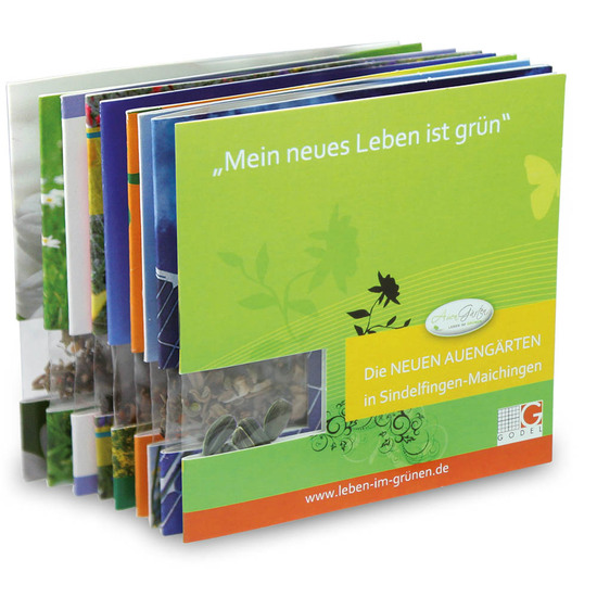 Samen-Karte - Fichte