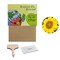 Pflanz-Set - 2er-Set - Sonnenblume / Margerite