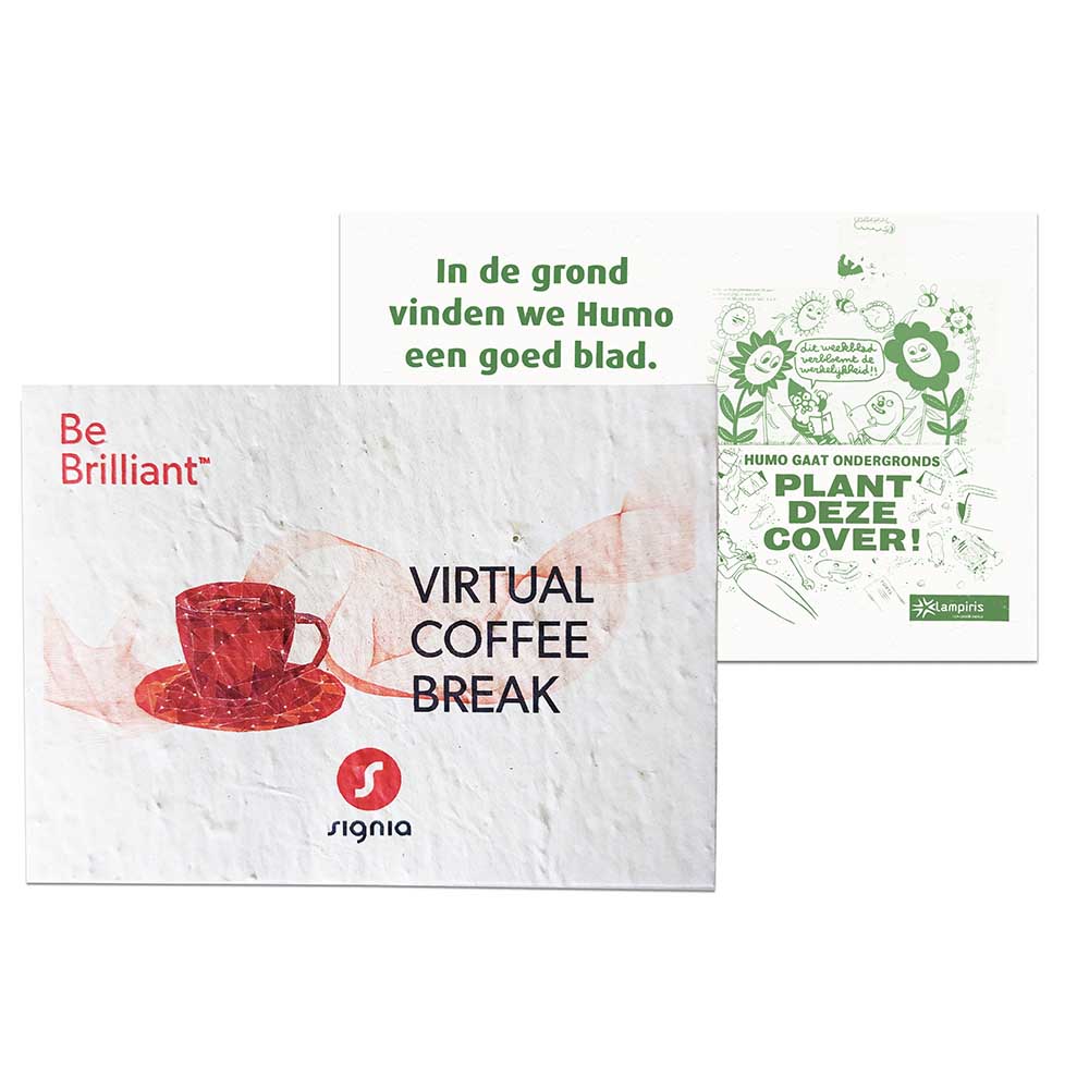 Samenpapier DIN A6 - Thymian, Druck 4/4-c