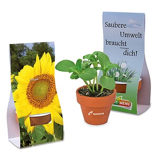 Logo-Töpfchen Überreichverpackung mit Samen - Sonnenblume
