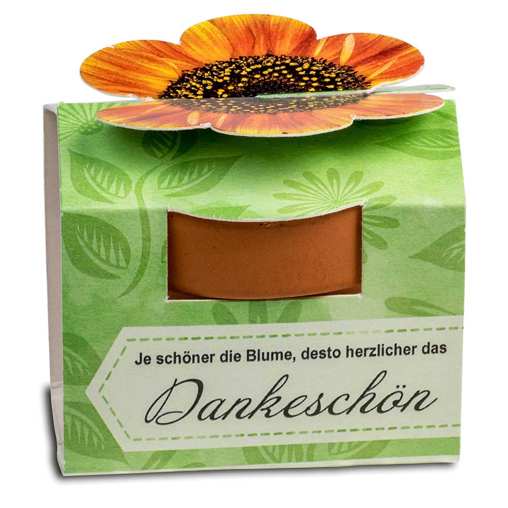 Tontöpfchen-Blume mit Samen - Persischer Klee