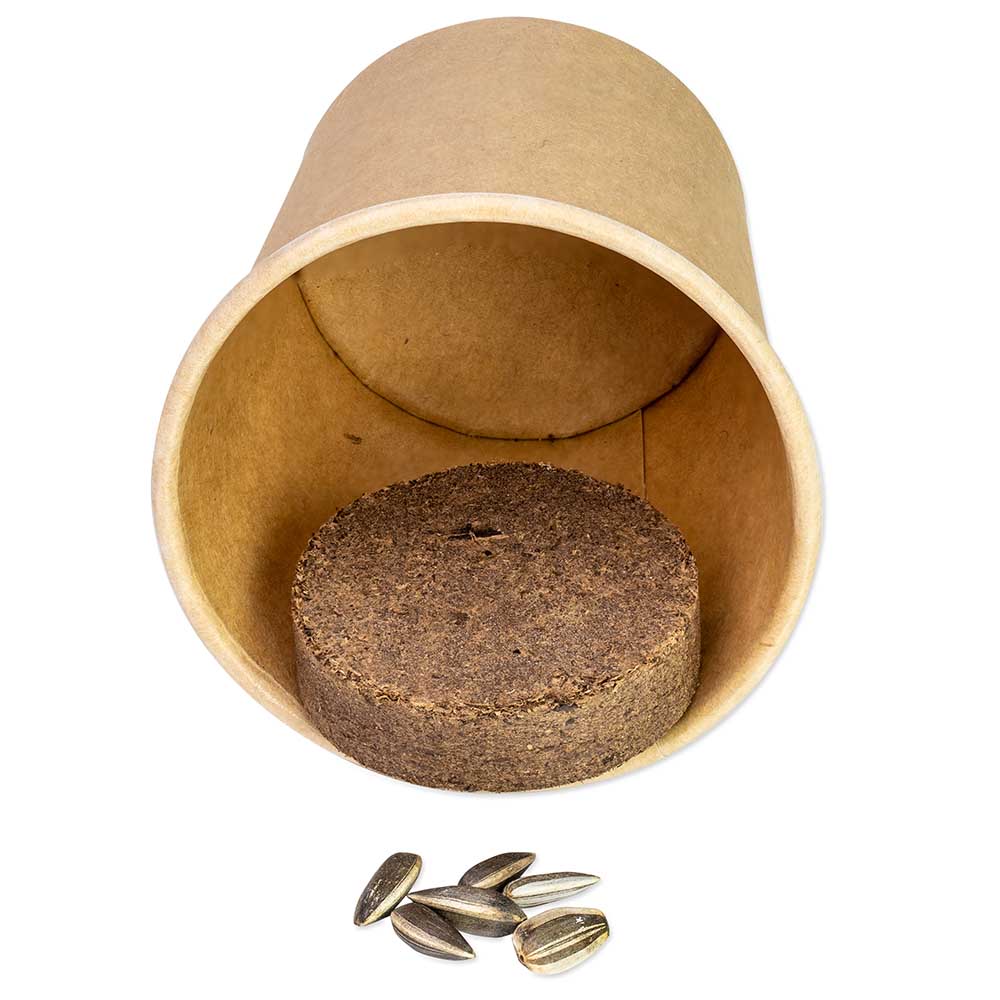 Pflanz-Würfel 2.0 mit Samen - Sommerblumenmischung