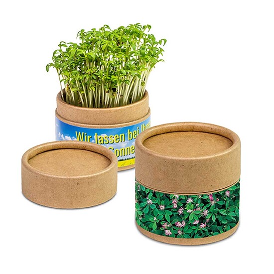 Pflanz-Cup mit Samen - Persischer Klee