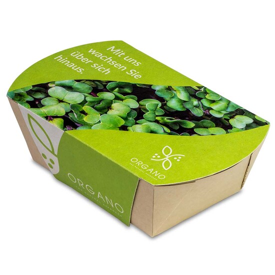 Microgreens-Gärtchen - Salatrauke