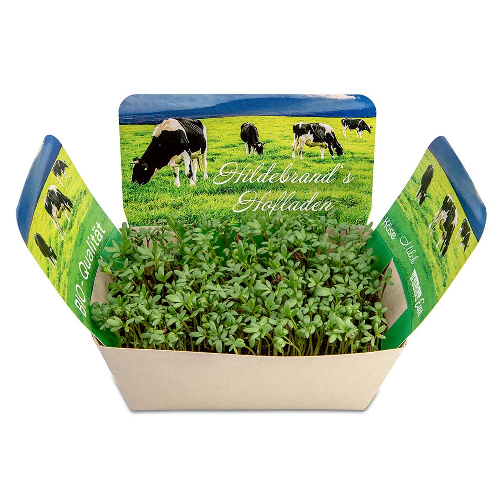 Pflanzodrom mit Samen - Petersilie