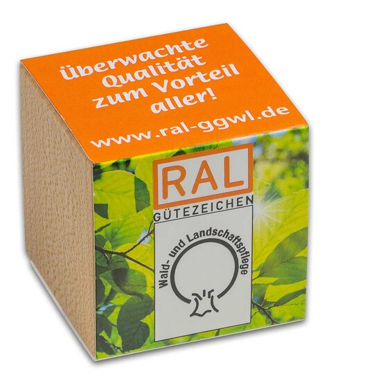 Pflanz-Holz mit Samen (Graspapier-Banderole) - Glücksklee-Zwiebel, 1 Seite gelasert (* Je nach Verfügbarkeit der Glücksklee-Zwiebeln)