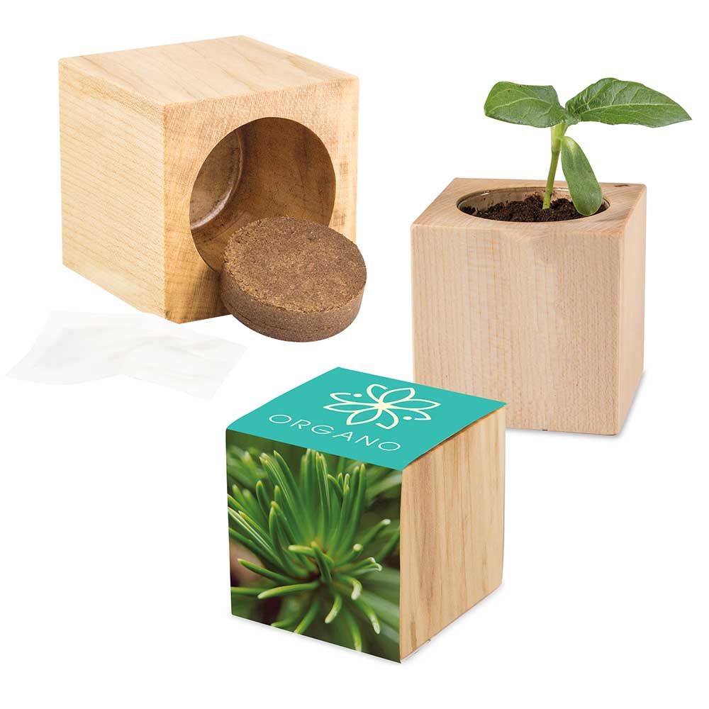 Pflanz-Holz Maxi mit Samen - Fichte, 1 Seite gelasert