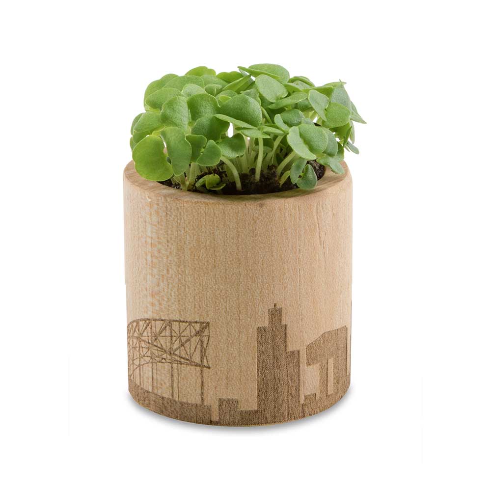 Pflanz-Holz rund mit Samen - Ringelblume, Rundum-Lasergravur