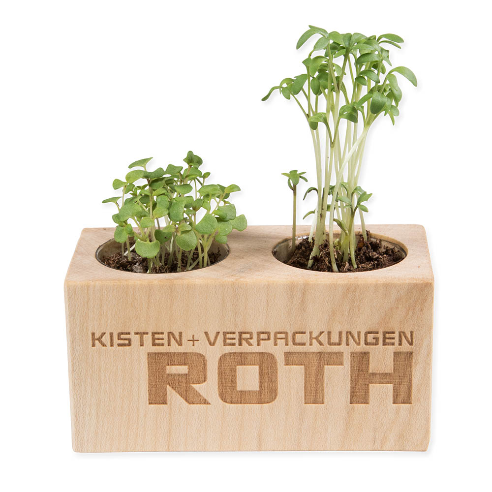 Pflanz-Holz 2er Set mit Samen - Glücksklee-Zwiebel, 2 Seiten gelasert (* Je nach Verfügbarkeit der Glücksklee-Zwiebeln)