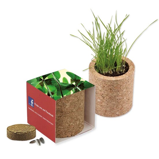 Pflanz-Kork rund mit Samen - Glücksklee-Zwiebel (* Je nach Verfügbarkeit der Glücksklee-Zwiebeln)