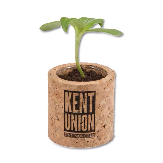 Pflanz-Kork rund mit Samen - Gartenkresse, Lasergravur