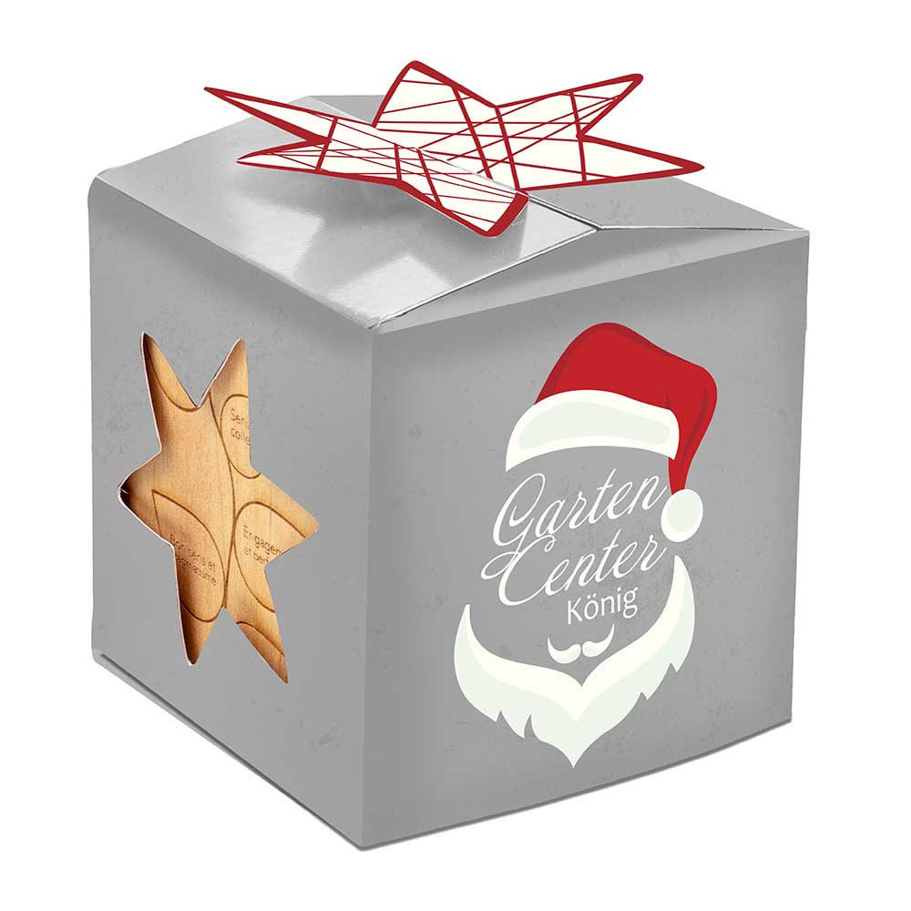 Pflanz-Holz Büro Star-Box mit Samen - Glücksklee-Zwiebel, 2 Seiten gelasert (* Je nach Verfügbarkeit der Glücksklee-Zwiebeln)