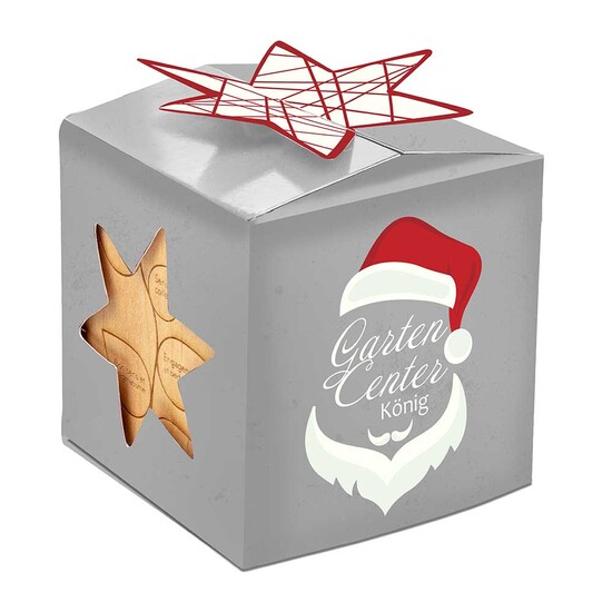 Pflanz-Holz Büro Star-Box mit Samen - Glücksklee-Zwiebel, 2 Seiten gelasert (* Je nach Verfügbarkeit der Glücksklee-Zwiebeln)