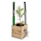 Pflanz-Holz Büro Star-Box mit Samen - Kräutermischung, 2 Seiten gelasert