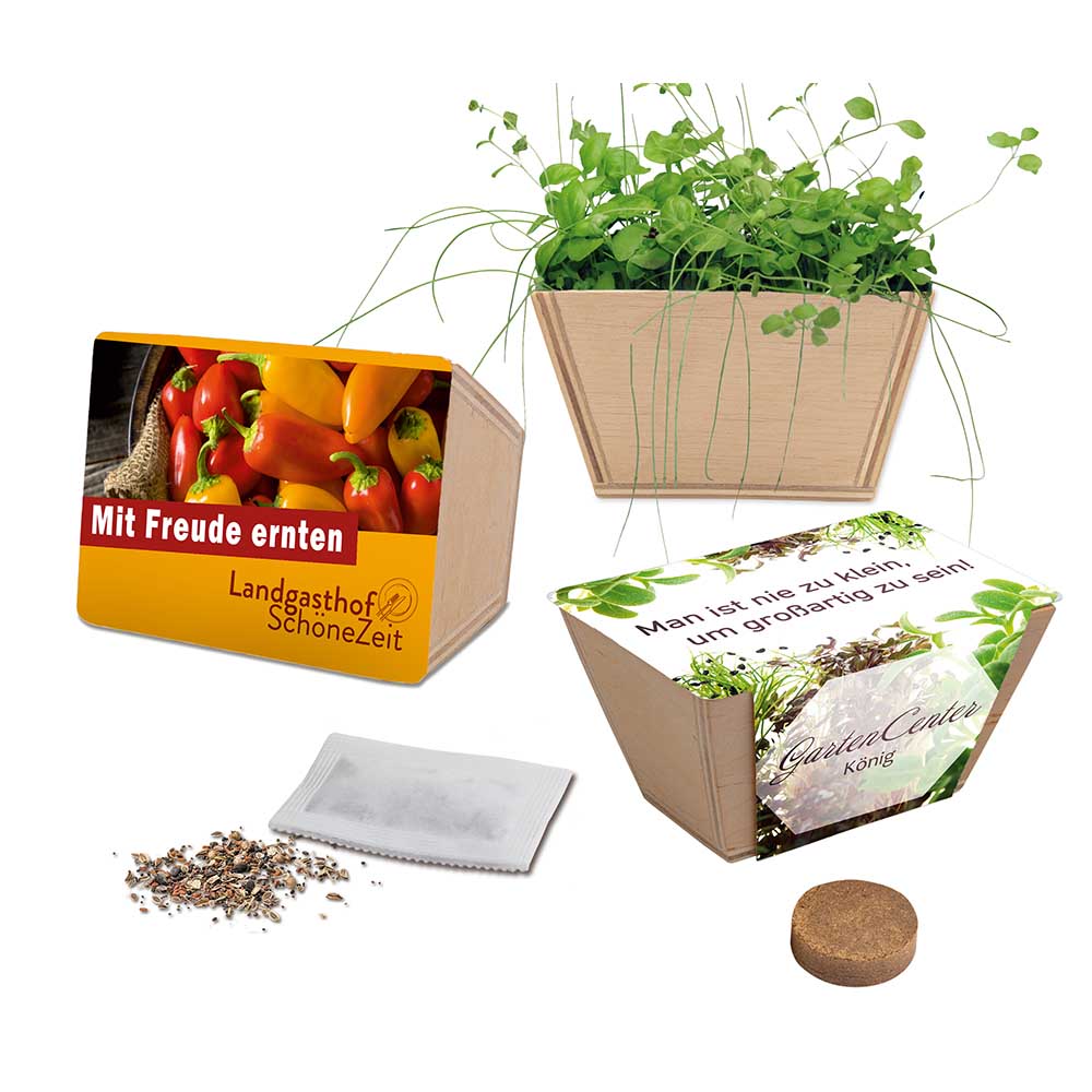 Mini-Beet mit Samen - Thymian