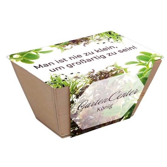 Mini-Beet mit Samen - Basilikum, Lasergravur