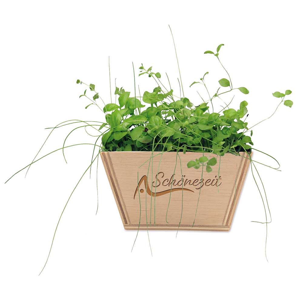 Mini-Beet mit Samen - Sonnenblume, Lasergravur