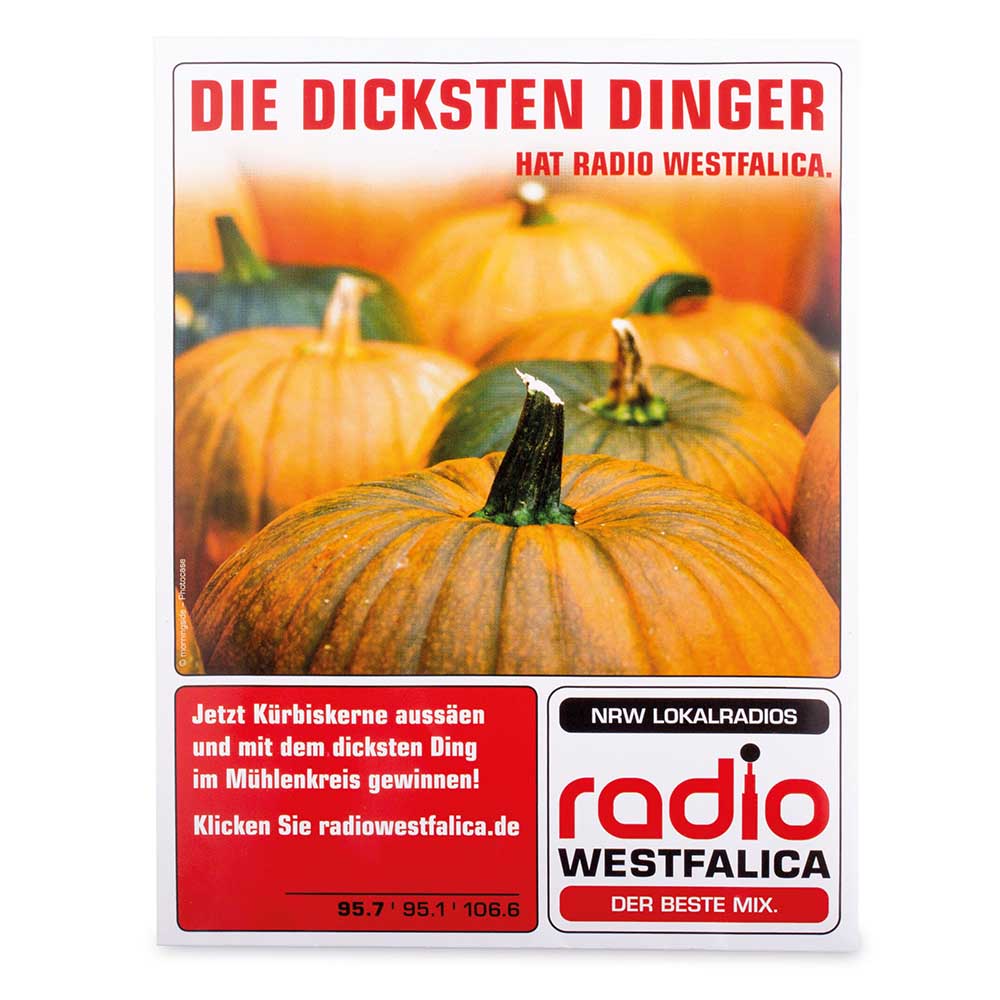 Samentütchen Groß - Standardpapier - Vergissmeinicht