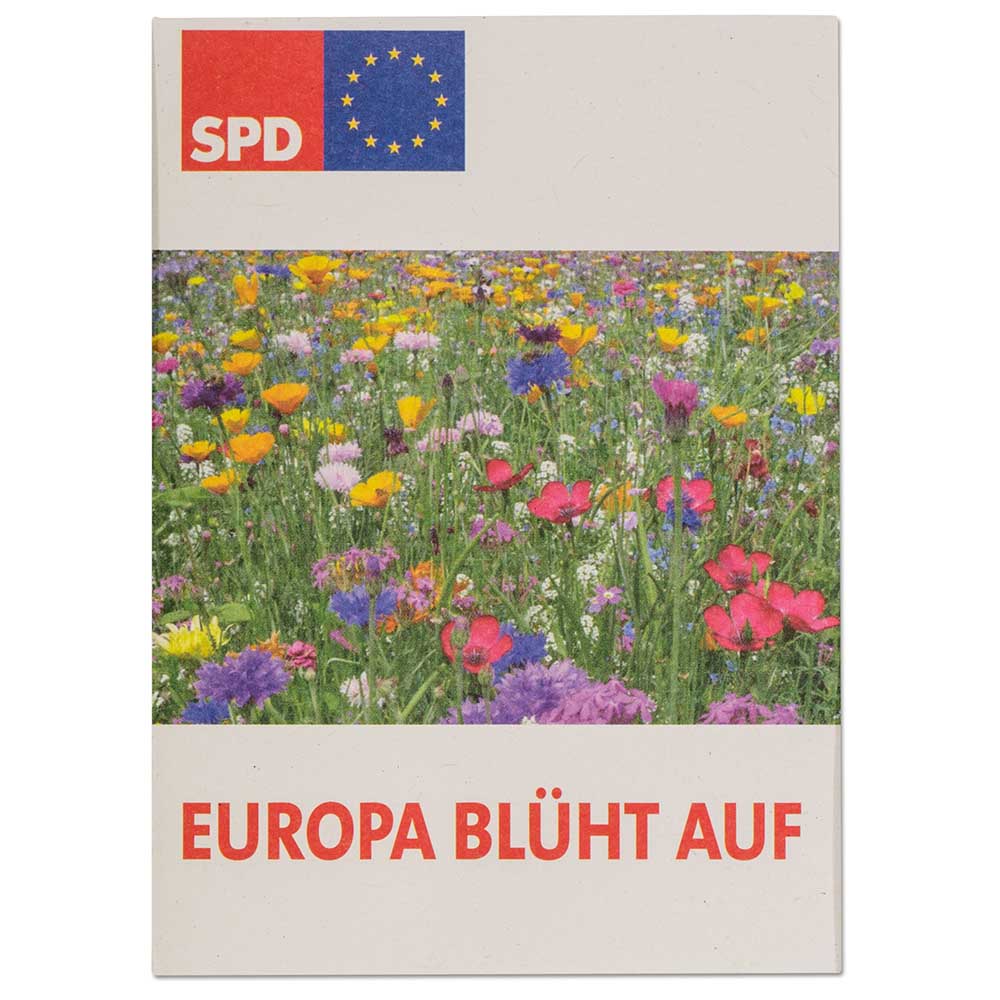 Samentütchen Mini - Recyclingpapier - Vergissmeinnicht