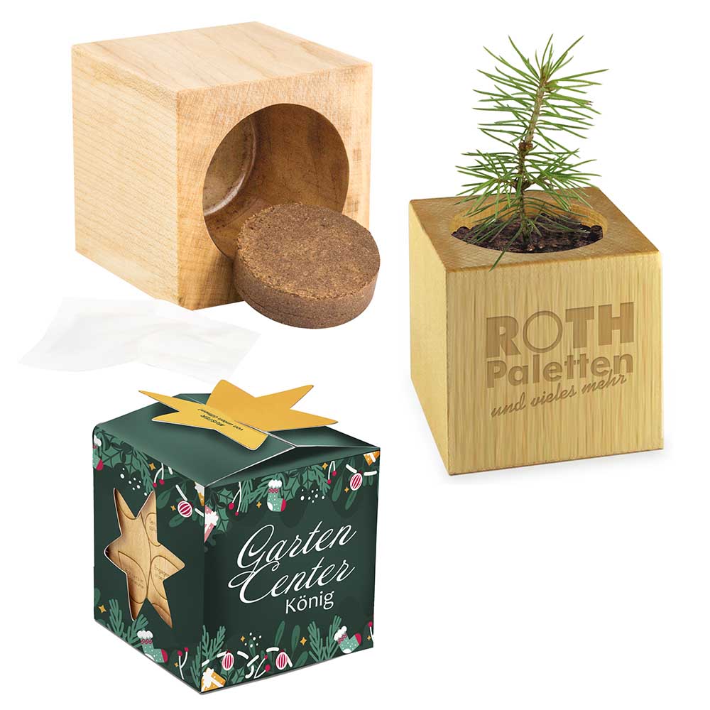 Pflanz-Holz Maxi Star-Box Xmas mit Fichtensamen - Fichte, 1 Seite gelasert