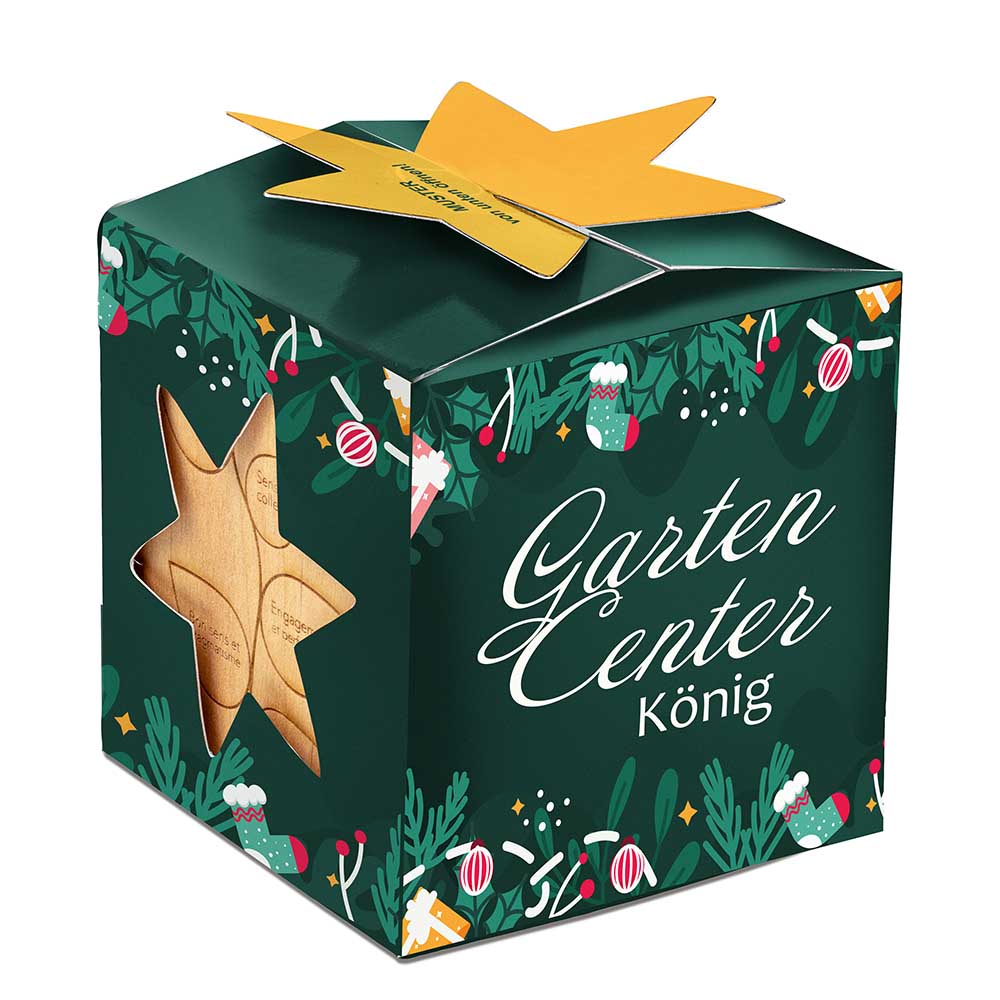 Pflanz-Holz Maxi Star-Box Xmas mit Fichtensamen - Fichte, 1 Seite gelasert