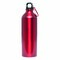 Aluminium-Trinkflasche BIG TRANSIT 56-0603134