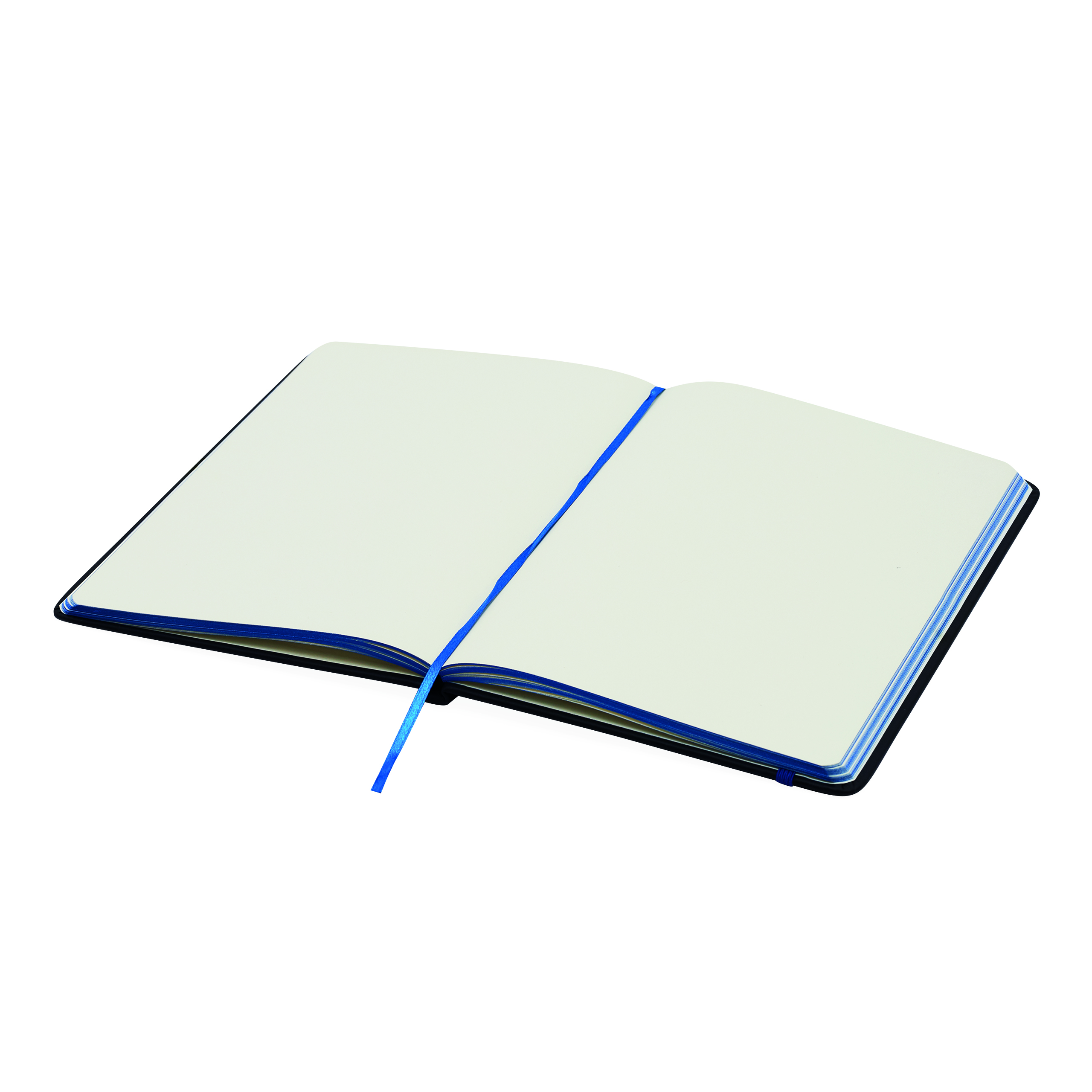 Notizbuch LECTOR im DIN-A5-Format