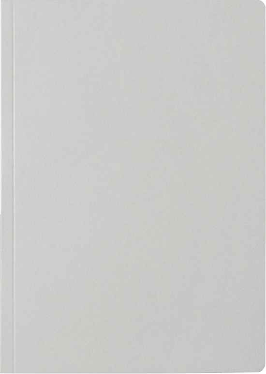 Notizbuch Modell 733 11, hellgrau