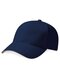 Pro-Style Heavy Brushed Cotton Cap