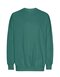 NET63011 Tiger Cotton by Neutral Oversized Sweatshirt